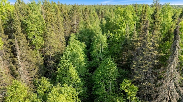2600 Whyte Rd, Stony River Twp, MN 55616