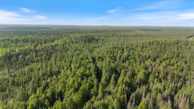 2600 Whyte Rd, Stony River Twp, MN 55616