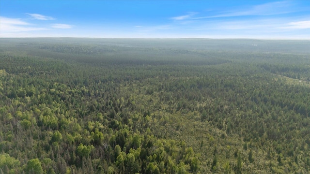 2600 Whyte Rd, Stony River Twp, MN 55616