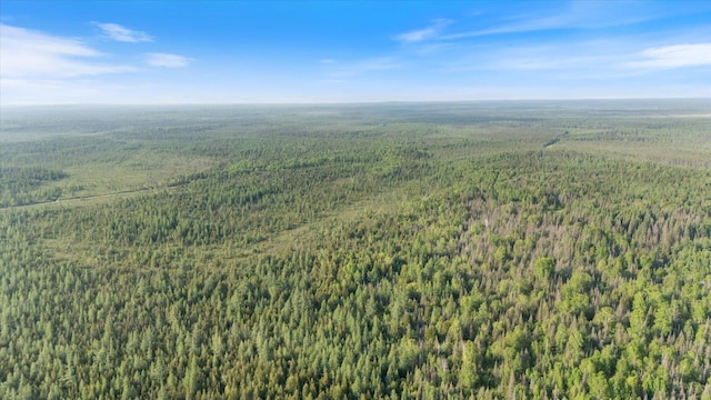 2600 Whyte Rd, Stony River Twp, MN 55616