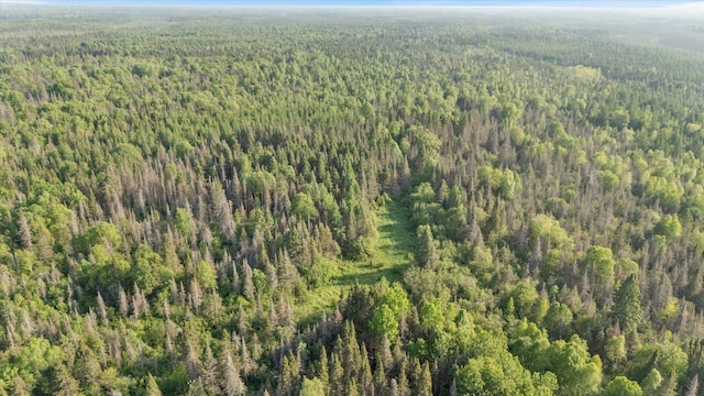 2600 Whyte Rd, Stony River Twp, MN 55616