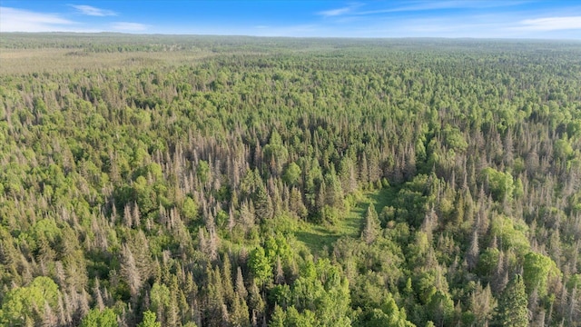 2600 Whyte Rd, Stony River Twp, MN 55616
