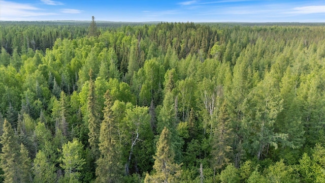 2600 Whyte Rd, Stony River Twp, MN 55616
