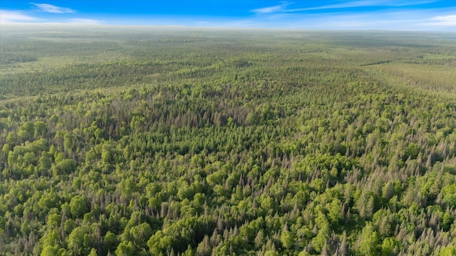 2600 Whyte Rd, Stony River Twp, MN 55616