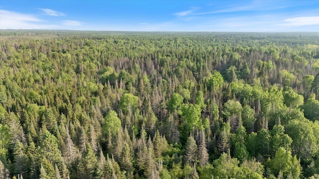2600 Whyte Rd, Stony River Twp, MN 55616