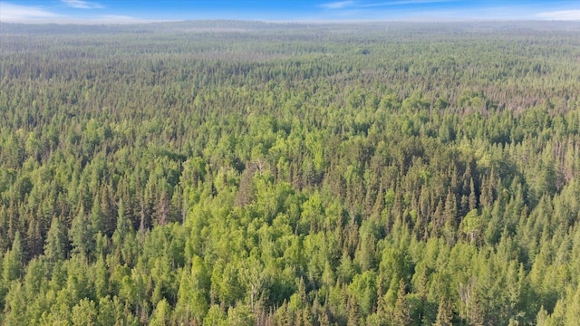 2600 Whyte Rd, Stony River Twp, MN 55616