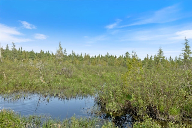 2600 Whyte Rd, Stony River Twp, MN 55616
