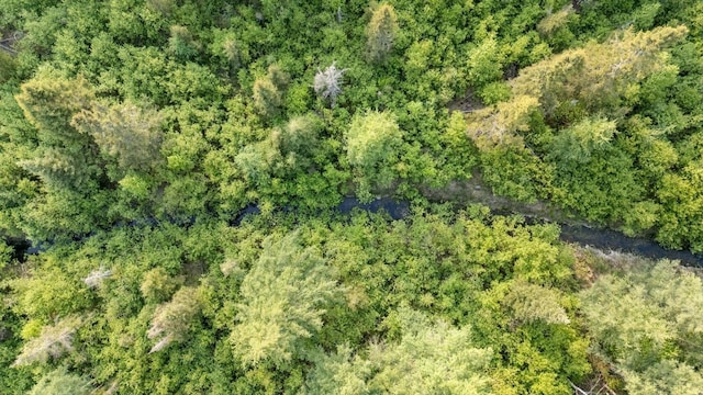 2600 Whyte Rd, Stony River Twp, MN 55616