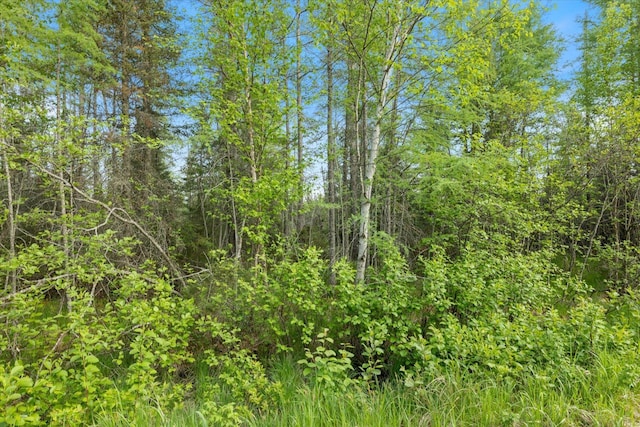 2600 Whyte Rd, Stony River Twp, MN 55616