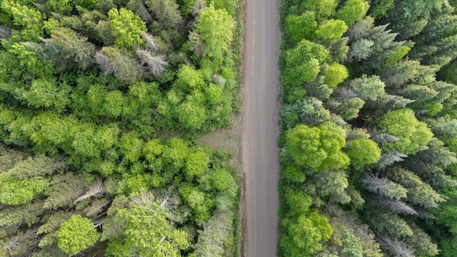 2600 Whyte Rd, Stony River Twp, MN 55616