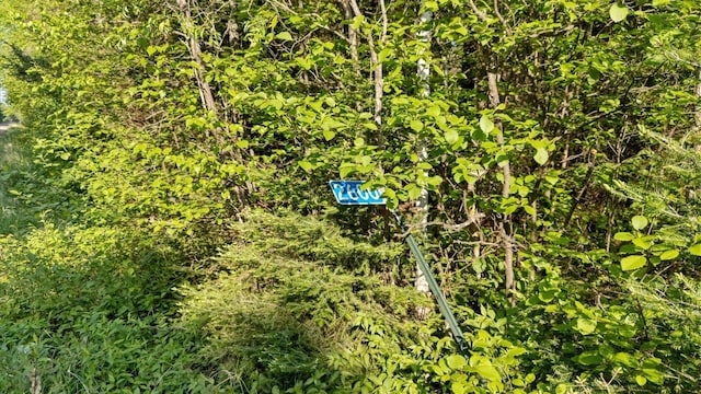 2600 Whyte Rd, Stony River Twp, MN 55616