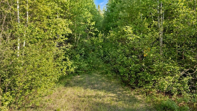 2600 Whyte Rd, Stony River Twp, MN 55616