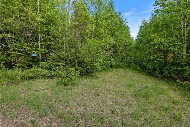 2600 Whyte Rd, Stony River Twp, MN 55616