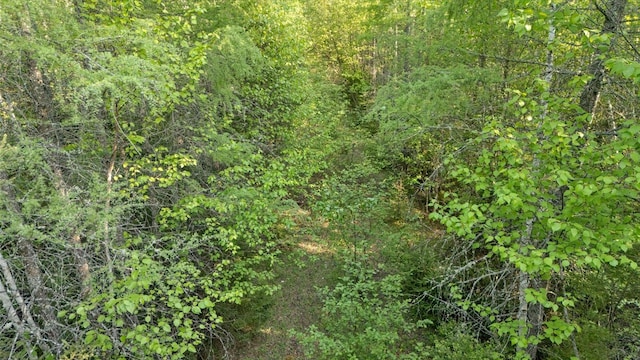 2600 Whyte Rd, Stony River Twp, MN 55616