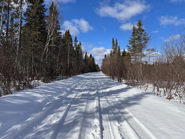 2600 Whyte Rd, Stony River Twp, MN 55616