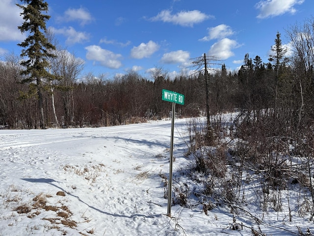 2600 Whyte Rd, Stony River Twp, MN 55616
