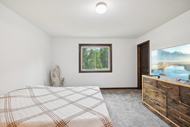 20258 Polk St NW, Elk River, MN 55330 - photo 10