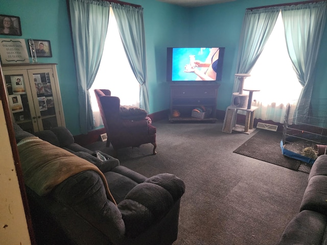 105 Main St, Brownsdale, MN 55918 - living room with carpet floors and plenty of natural light