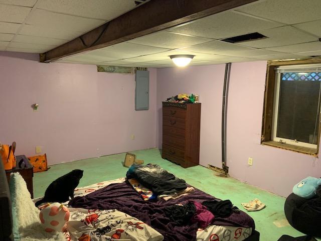 105 Main St, Brownsdale, MN 55918 - bedroom with electric panel, a paneled ceiling, and carpet