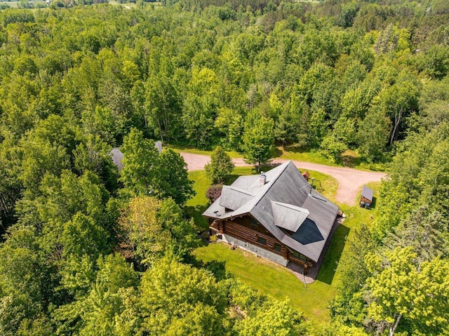298 Church Ave, Esko, MN 55733 - photo 48