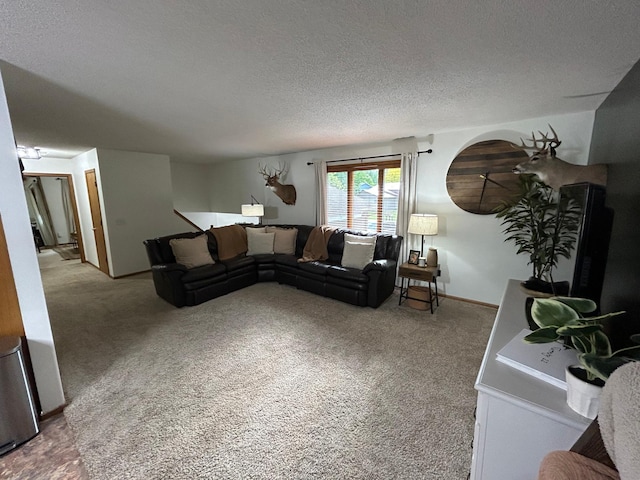 605 Park Island Dr SW, Hutchinson, MN 55350 - living room with a textured ceiling and light carpet