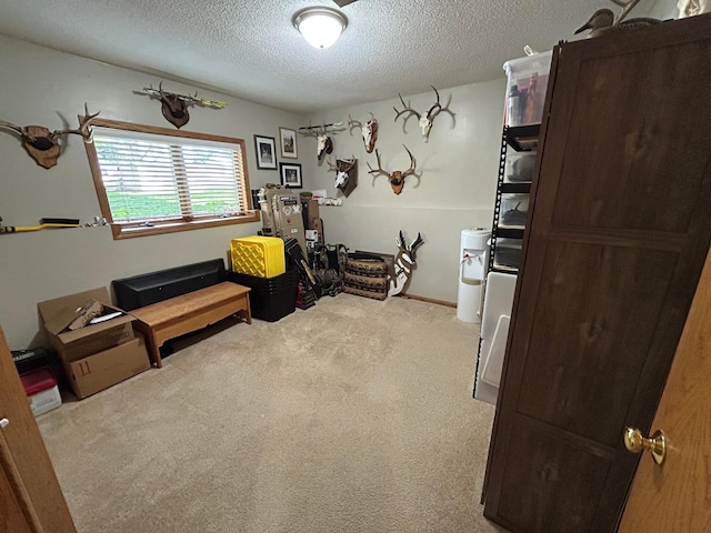 605 Park Island Dr SW, Hutchinson, MN 55350 - sitting room with a textured ceiling and carpet flooring