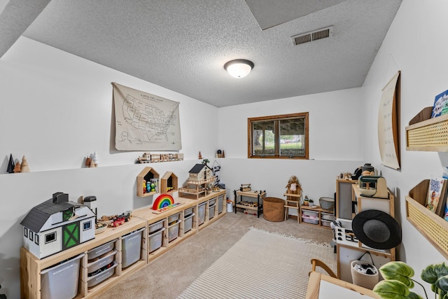 605 Park Island Dr SW, Hutchinson, MN 55350 - photo 10