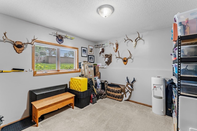605 Park Island Dr SW, Hutchinson, MN 55350 - photo 14