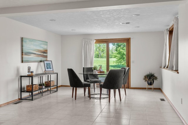 19800 Stephan Dr, Minnewaska Twp, MN 56381 - dining space featuring light tile patterned flooring and a textured ceiling