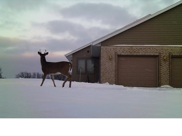 19800 Stephan Dr, Minnewaska Twp, MN 56381 - view of snowy exterior featuring brick siding