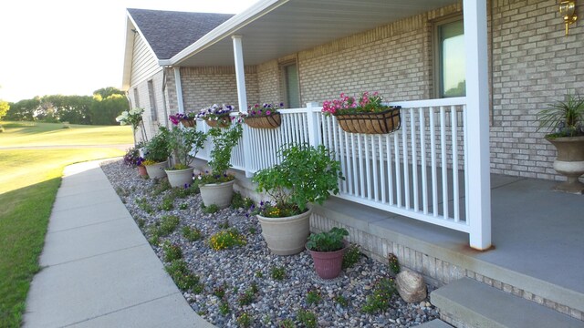 19800 Stephan Dr, Minnewaska Twp, MN 56381 - view of side of home with a porch, brick siding, and a shingled roof
