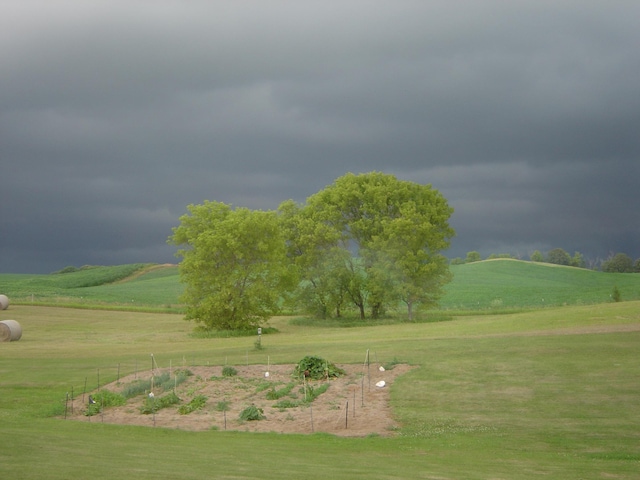 19800 Stephan Dr, Minnewaska Twp, MN 56381 - view of property's community with a lawn and a view of rural / pastoral area