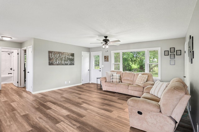 559 State Highway 35, East Farmington, WI 54020 - living room featuring ceiling fan, wood finished floors, and a textured ceiling