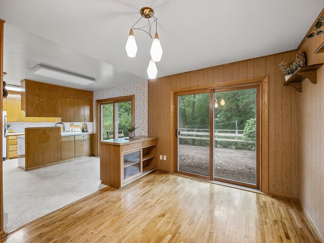 8545 70th St NW, Annandale, MN 55302 - kitchen featuring brown cabinetry, light wood-style floors, open shelves, light countertops, and wooden walls