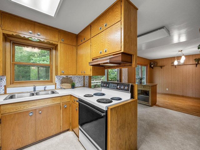 8545 70th St NW, Annandale, MN 55302 - kitchen with white electric stove, under cabinet range hood, healthy amount of natural light, light countertops, and wood walls