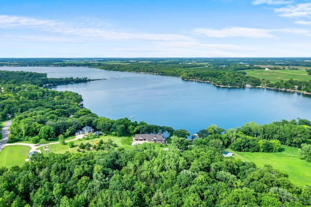 8545 70th St NW, Annandale, MN 55302 - aerial view of a large body of water and a heavily wooded area
