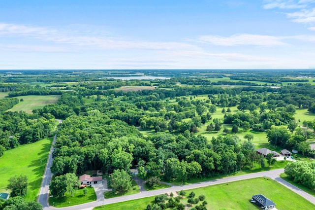 8545 70th St NW, Annandale, MN 55302 - drone / aerial view