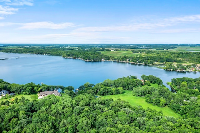 8545 70th St NW, Annandale, MN 55302 - bird's eye view of a large body of water and a forest