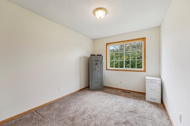 608 Frontier Cir, Belle Plaine, MN 56011 - unfurnished room with light colored carpet