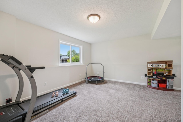 608 Frontier Cir, Belle Plaine, MN 56011 - workout area featuring a textured ceiling and carpet floors