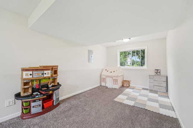 608 Frontier Cir, Belle Plaine, MN 56011 - rec room with carpet and electric panel