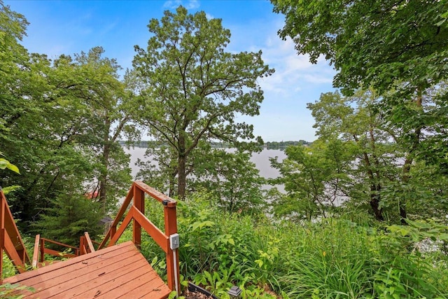 5017 Imhoff Ave SW, Howard Lake, MN 55349 - photo 33