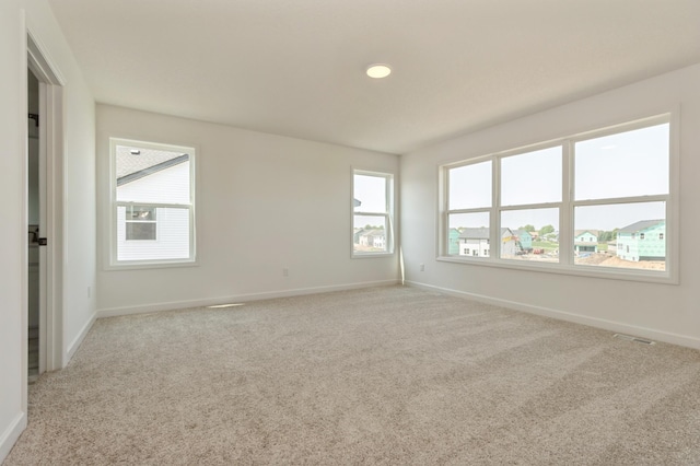 18665 Kennedy St NW, Elk River, MN 55330 - spare room with healthy amount of natural light and carpet floors