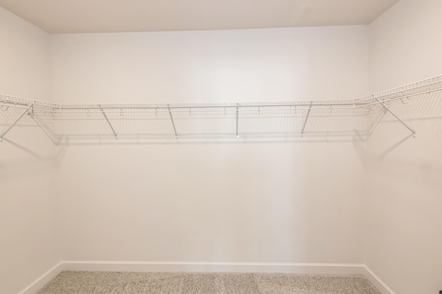 18665 Kennedy St NW, Elk River, MN 55330 - spacious closet with carpet floors
