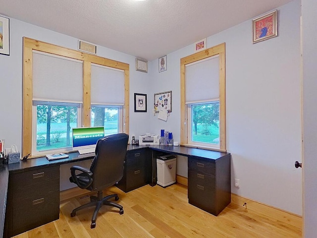 6828 Rhoades Ave SW, Cokato, MN 55321 - home office with light wood finished floors and plenty of natural light