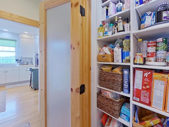 6828 Rhoades Ave SW, Cokato, MN 55321 - view of pantry