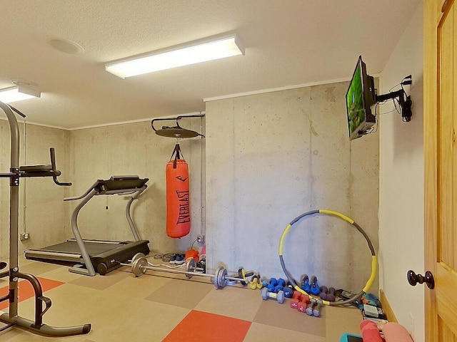 6828 Rhoades Ave SW, Cokato, MN 55321 - exercise area with tile patterned floors