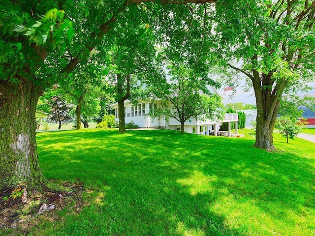 6828 Rhoades Ave SW, Cokato, MN 55321 - view of grassy yard