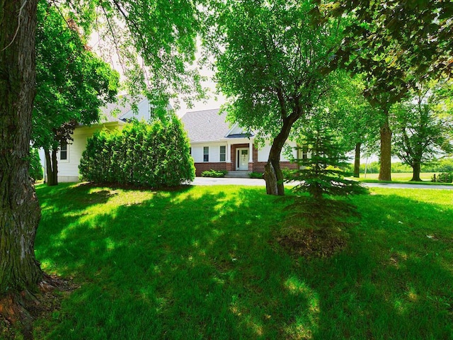 6828 Rhoades Ave SW, Cokato, MN 55321 - view of green lawn