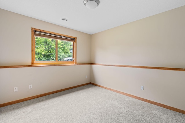 2540 Hamline Ave N, Roseville, MN 55113 - photo 29